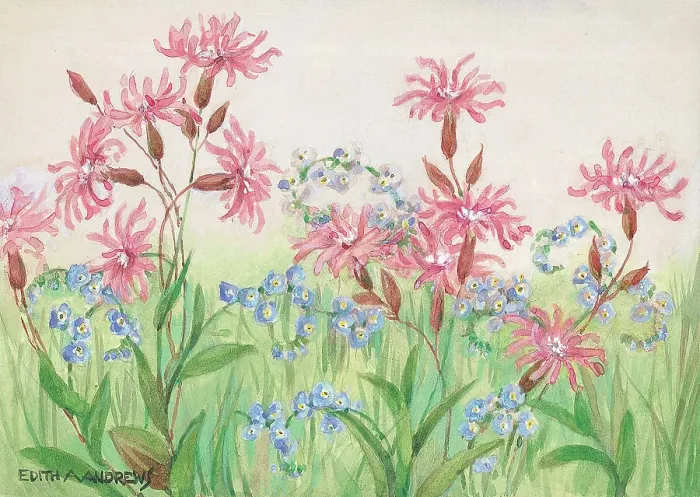 Framed Print : Ragged Robin and Water Forget-Me-Nots Gardens Framed Print : Ragged Robin and Water Forget-Me-Nots Gardens