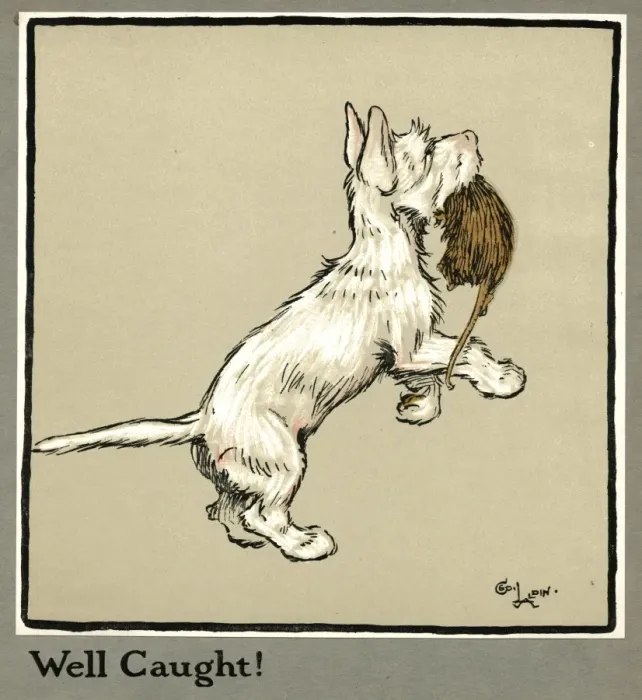 Framed Print : Rags the puppy catches a rat Framed Print : Rags the puppy catches a rat