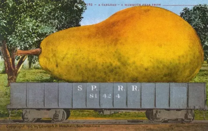 Framed Print : Rail car transporting a giant pear Framed Print : Rail car transporting a giant pear