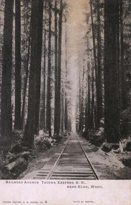 Framed Print : Railway through trees near Elbe, Washington, USA Framed Print : Railway through trees near Elbe, Washington, USA