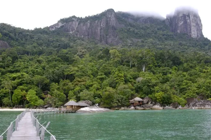 Framed Print : Rainforest, a jetty and a wooden cabins of Framed Print : Rainforest, a jetty and a wooden cabins of