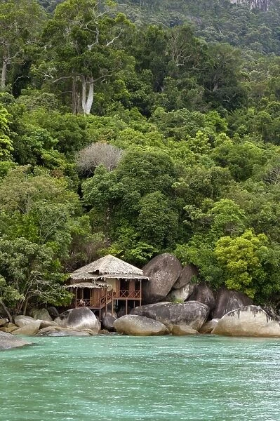 Rainforest and a wooden cabin of the Bagus Place