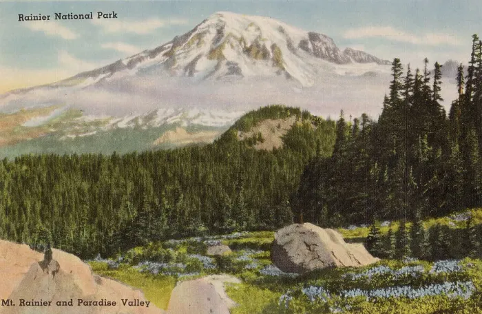 Framed Print : Rainier National Park, Washington State, USA, with Mount Rainier and Paradise Valley Date: circa 1940 Framed Print : Rainier National Park, Washington State, USA, with Mount Rainier and Paradise Valley Date: circa 1940