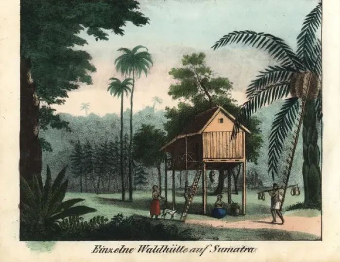 Framed Print : Raised wooden house in tropical jungle, Sumatra Framed Print : Raised wooden house in tropical jungle, Sumatra