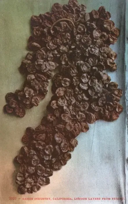 Framed Print : Raisin Industry, California, US