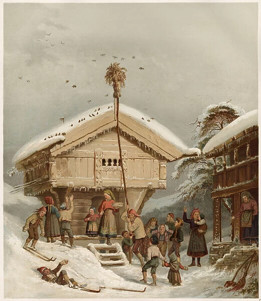 Raising the Bird-Pole (with a sheaf at the top) - a traditional Norwegian Christmas