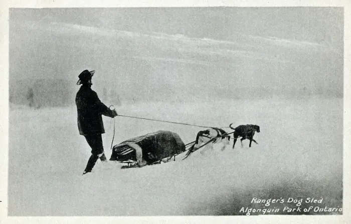 Framed Print : Ranger's Dog Sled - Algonquin Park of Ontario, Canada Framed Print : Ranger's Dog Sled - Algonquin Park of Ontario, Canada