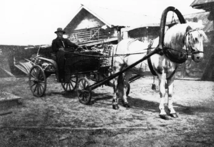 Framed Print : Rasputin in Carriage Framed Print : Rasputin in Carriage