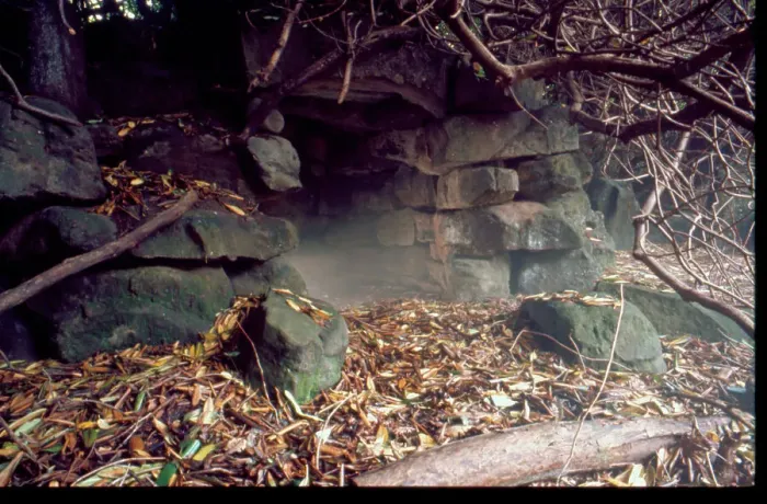 Framed Print : Ravenscroft (Cleddon Hall), cave in garden Framed Print : Ravenscroft (Cleddon Hall), cave in garden