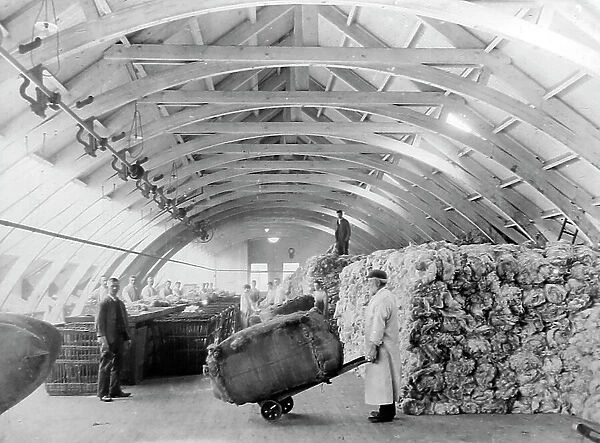 Raw wool being sorted at a woollen mill in Bradford