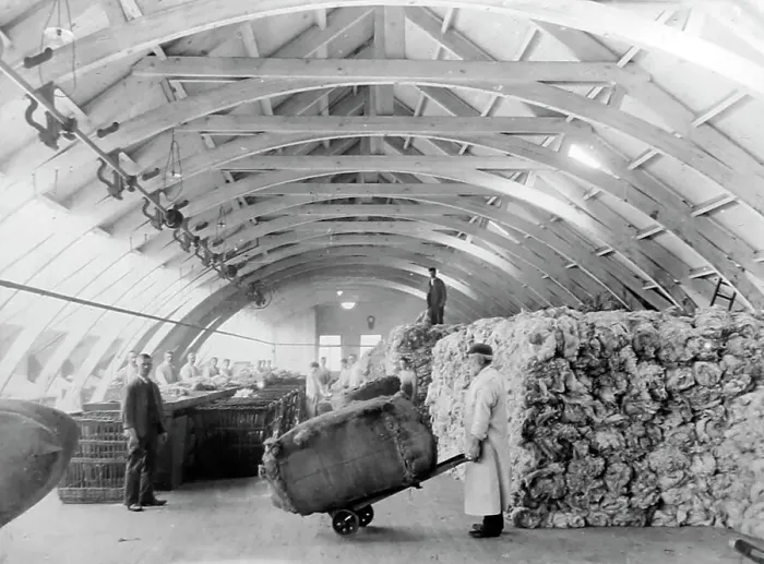 Framed Print : Raw wool being sorted at a woollen mill in Bradford Framed Print : Raw wool being sorted at a woollen mill in Bradford