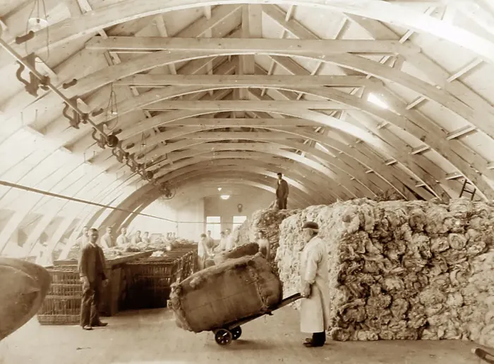 Framed Print : Raw wool being sorted at a woollen mill in Bradford Framed Print : Raw wool being sorted at a woollen mill in Bradford