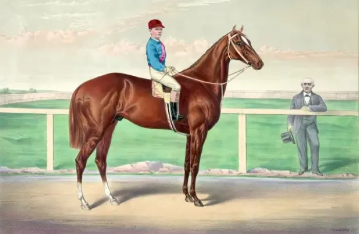 Framed Print : Ready for the signal: the celebrated running horse Harry Bas Framed Print : Ready for the signal: the celebrated running horse Harry Bas