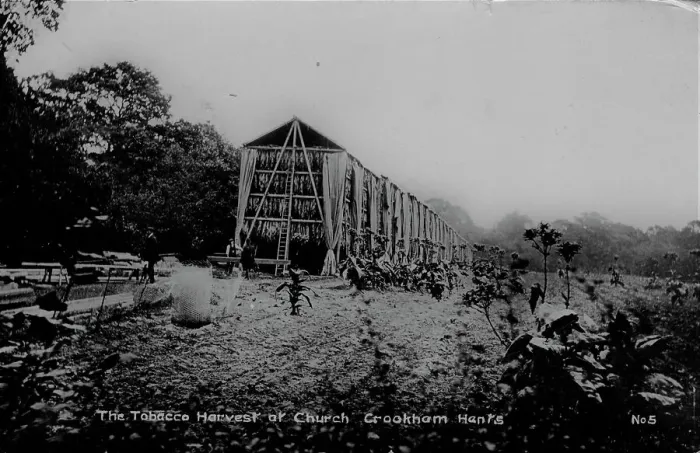Framed Print : Real photo of tobacco drying sheds Church Crookham Framed Print : Real photo of tobacco drying sheds Church Crookham