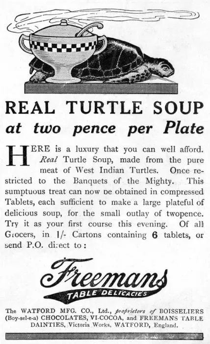 Framed Print : Real Turtle Soup Framed Print : Real Turtle Soup