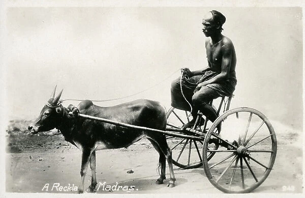 A Reckla animal cart pulled by a bullock, Madras, India