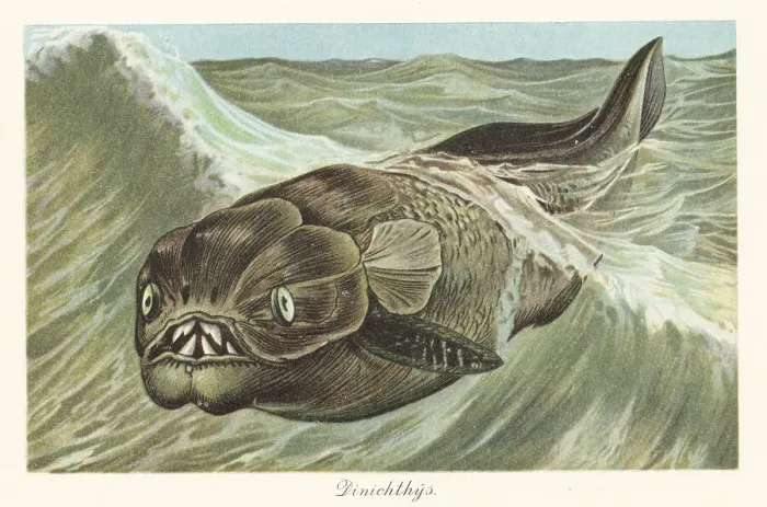 Framed Print : Reconstruction of a Dinichthys herzeri Framed Print : Reconstruction of a Dinichthys herzeri