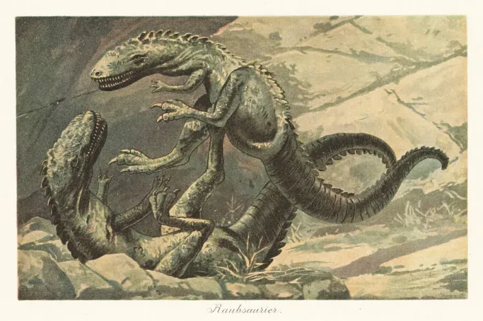 Framed Print : Reconstruction of two dinosaurs in battle Framed Print : Reconstruction of two dinosaurs in battle