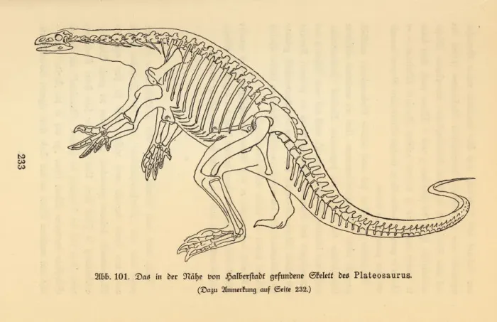 Framed Print : Reconstruction of an extinct Plateosaurus Framed Print : Reconstruction of an extinct Plateosaurus
