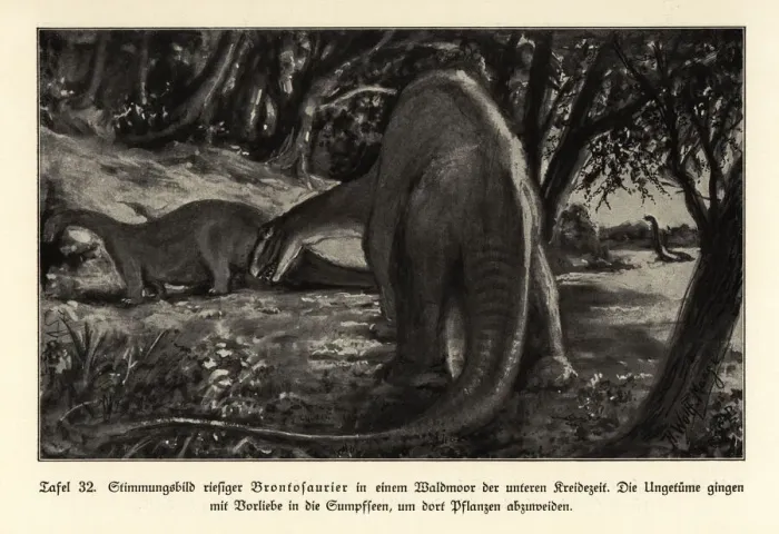 Framed Print : Reconstruction of giant Brontosaurs grazing Framed Print : Reconstruction of giant Brontosaurs grazing