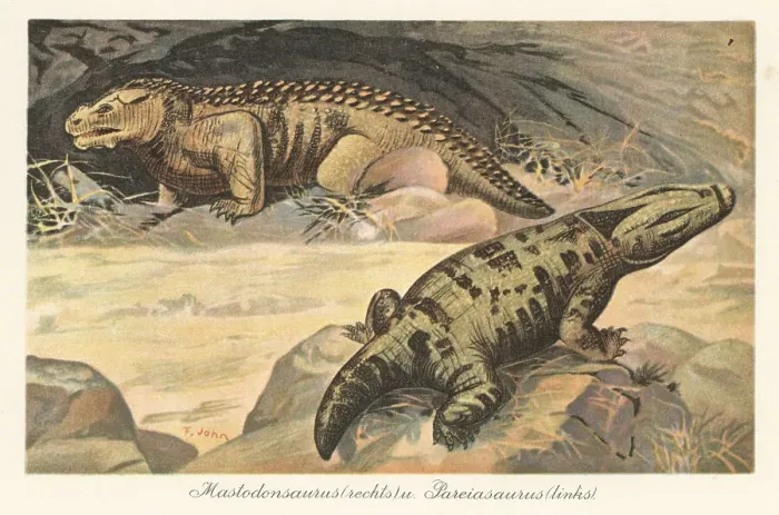 Framed Print : Reconstruction of a Mastodonsaurus and Pareiasaurus Framed Print : Reconstruction of a Mastodonsaurus and Pareiasaurus