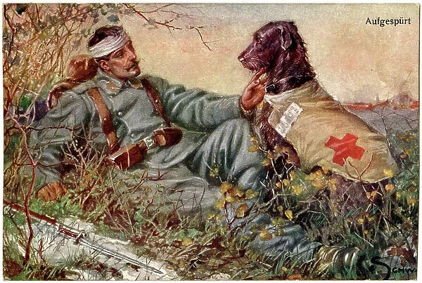 A red cross working dog during WWI