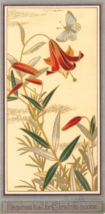Framed Print : Red lilies and butterfly on a Christmas card Framed Print : Red lilies and butterfly on a Christmas card