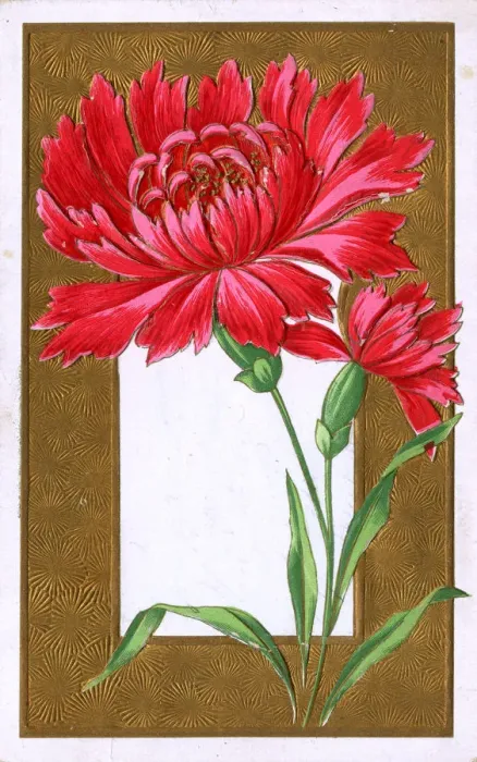 Framed Print : Red Spray Chrysanthemum set above decorative gold border Framed Print : Red Spray Chrysanthemum set above decorative gold border