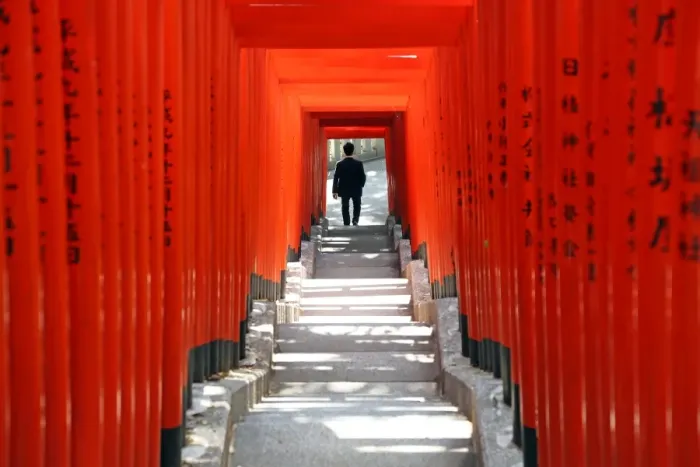 Framed Print : Red Torii gates and steps Hie-Jinja Shrine, Tokyo, Japan Framed Print : Red Torii gates and steps Hie-Jinja Shrine, Tokyo, Japan