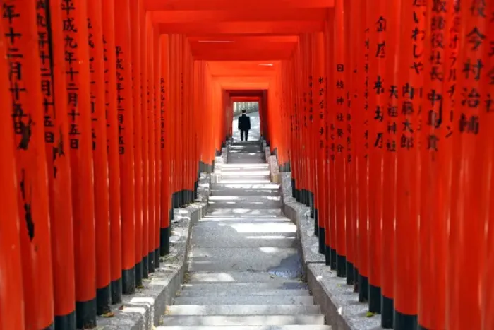 Framed Print : Red Torii gates and steps Hie-Jinja Shrine, Tokyo, Japan Framed Print : Red Torii gates and steps Hie-Jinja Shrine, Tokyo, Japan