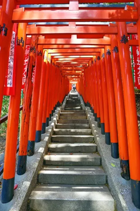 Framed Print : Red Torii gates and steps Hie-Jinja Shrine, Tokyo, Japan Framed Print : Red Torii gates and steps Hie-Jinja Shrine, Tokyo, Japan