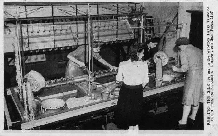 Framed Print : Reeling the Silk for wedding dress train, Princess Elizabeth Framed Print : Reeling the Silk for wedding dress train, Princess Elizabeth