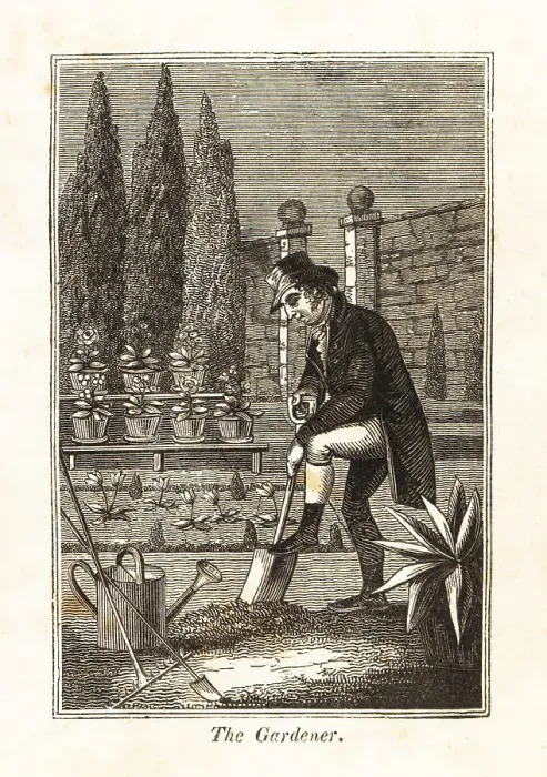 Framed Print : Regency gardener digging a flowerbed in a walled garden Framed Print : Regency gardener digging a flowerbed in a walled garden