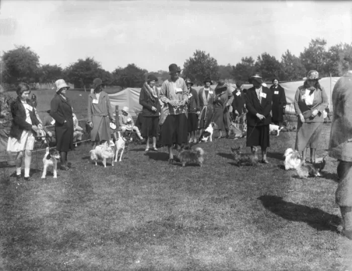 Framed Print : Regents Park Dog Show Framed Print : Regents Park Dog Show