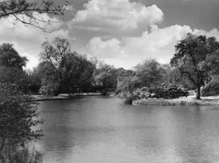 Framed Print : Regents Park Lake Framed Print : Regents Park Lake