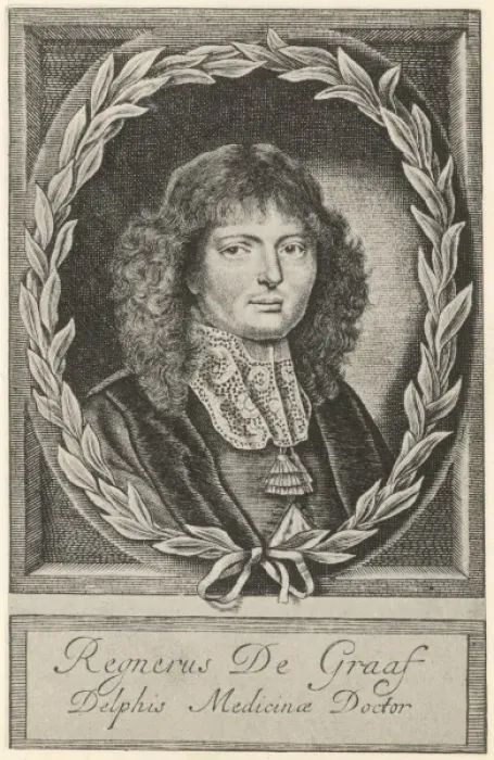 Framed Print : Regner De Graaf Framed Print : Regner De Graaf