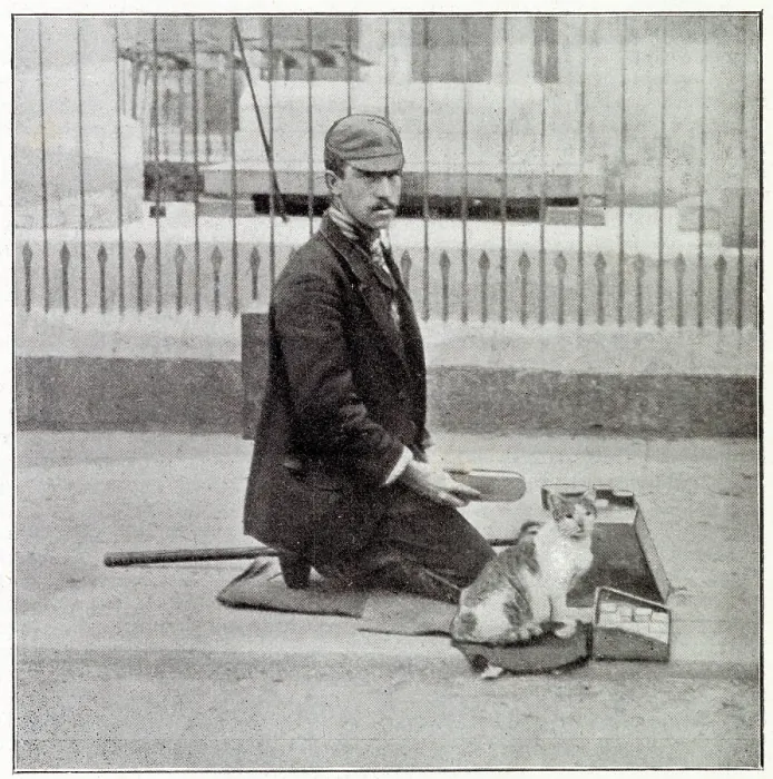 Framed Print : A regular shoeshiner in the streets of London with one leg, took pity on a starving kitten and fed it after that it came with one whistle and sat next to him while he worked Framed Print : A regular shoeshiner in the streets of London with one leg, took pity on a starving kitten and fed it after that it came with one whistle and sat next to him while he worked