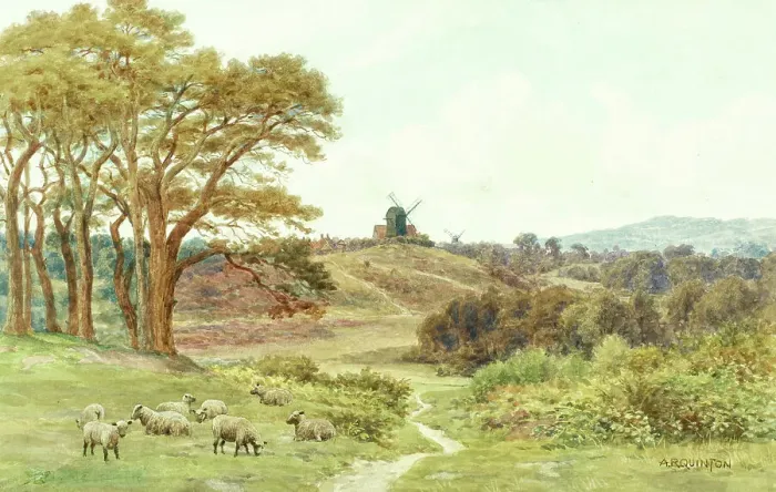 Framed Print : Reigate Heath, Surrey Hills Framed Print : Reigate Heath, Surrey Hills
