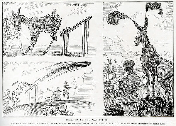 Rejected by the War Office, Mules put to good use by L. R. B