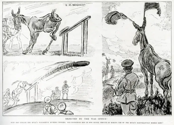 Framed Print : Rejected by the War Office, Mules put to good use by L. R. B Framed Print : Rejected by the War Office, Mules put to good use by L. R. B