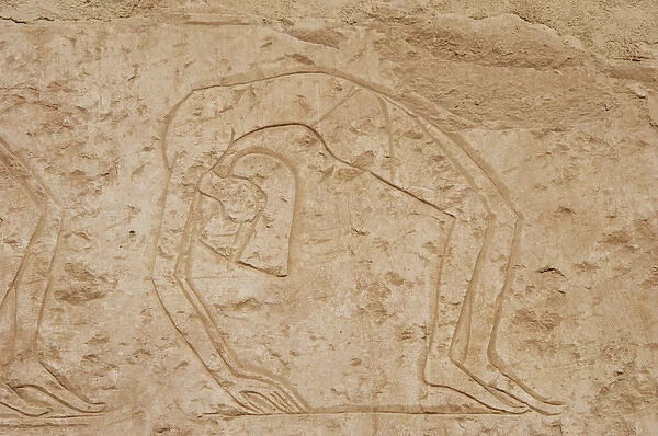 Relief depicting a contortionists dancer. Temple of Hatsheps