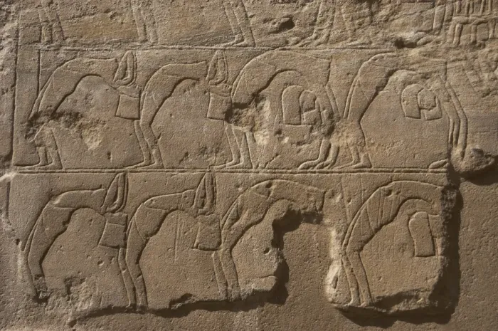 Framed Print : Relief depicting a group of dancers Framed Print : Relief depicting a group of dancers