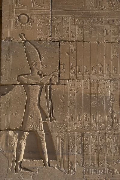 Relief depicting a Pharaoh making libations to the gods. Ram