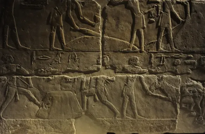 Framed Print : Relief depicting a phases of harvesting. Egypt Framed Print : Relief depicting a phases of harvesting. Egypt