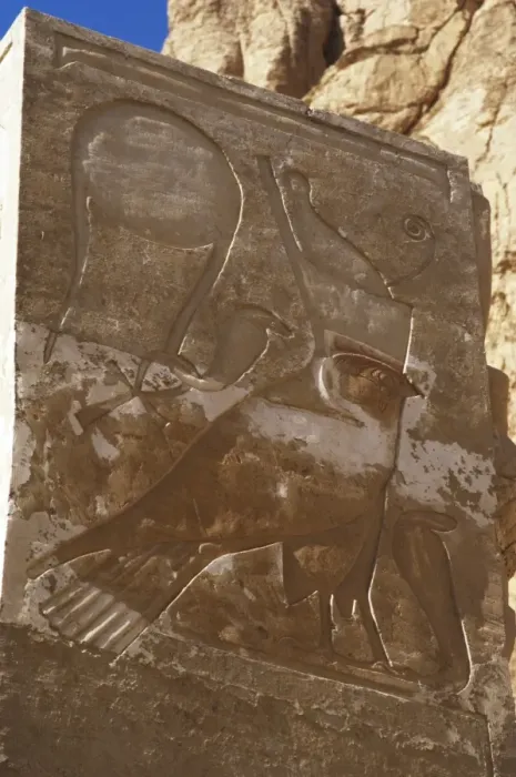 Framed Print : Relief with an inscription in hieroglyphics. Deir el-Bahari Framed Print : Relief with an inscription in hieroglyphics. Deir el-Bahari
