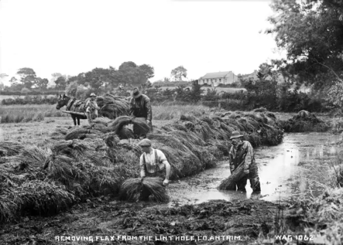 Framed Print : Removing Flax from the Lint Hole, Co. Antrim Framed Print : Removing Flax from the Lint Hole, Co. Antrim