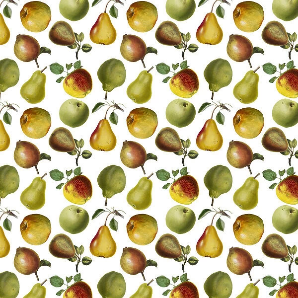 Repeating Pattern - Apples and Pears