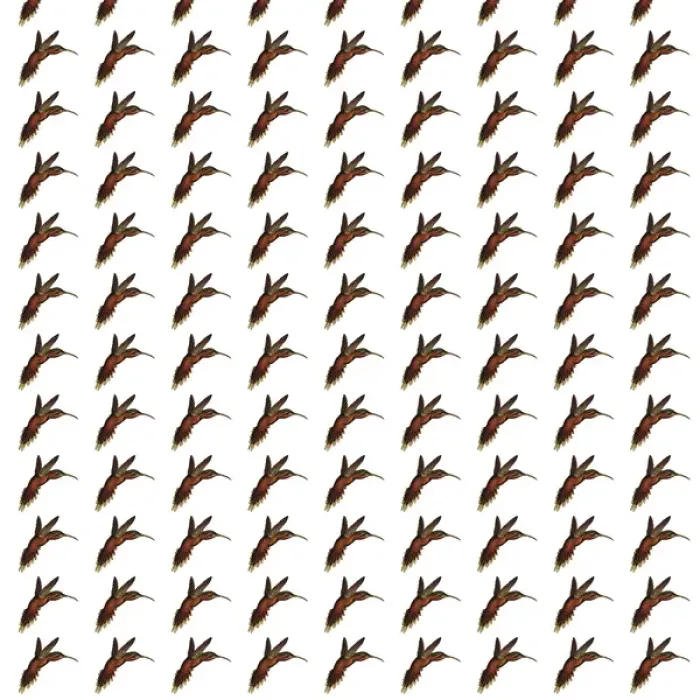 Framed Print : Repeating Pattern - Birds Framed Print : Repeating Pattern - Birds