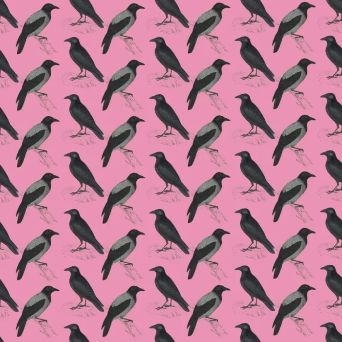 Framed Print : Repeating Pattern - Crows and Jackdaws Framed Print : Repeating Pattern - Crows and Jackdaws
