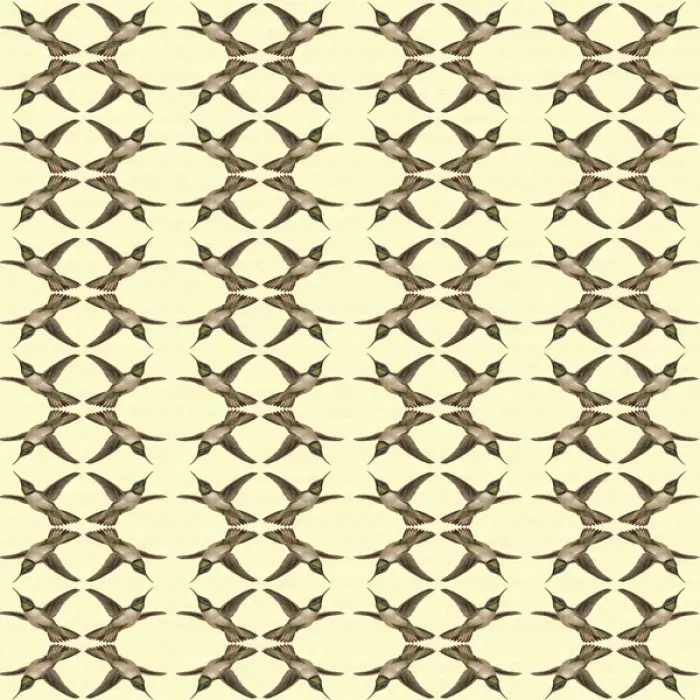 Framed Print : Repeating Pattern - Hummingbirds Framed Print : Repeating Pattern - Hummingbirds